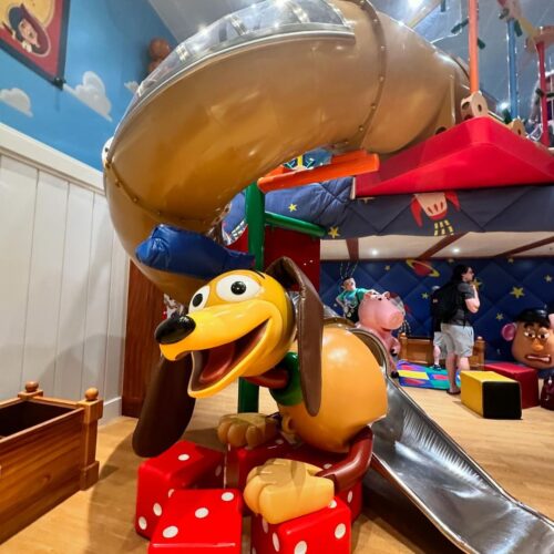 Disney Destiny photo review